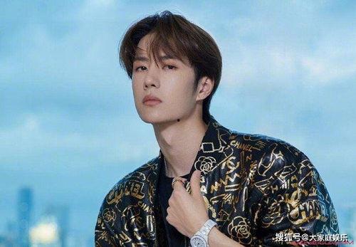 爆料娱乐王一博事件视频,真相与争议交织  第1张